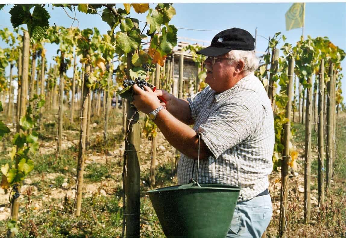 2003